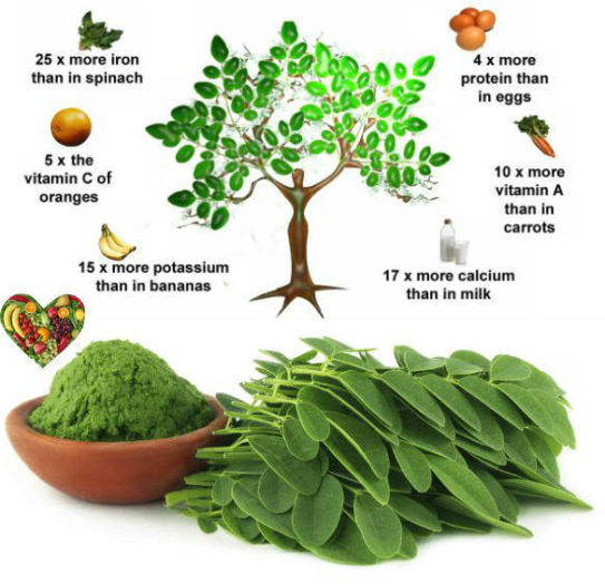 Moringa